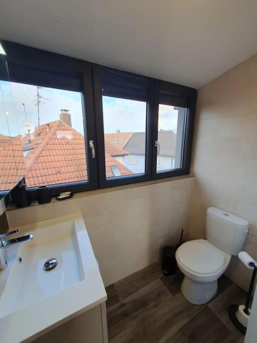 Appartement 2 Pieces Tout Confort, Aux Portes De Colmar Andolsheim 外观 照片