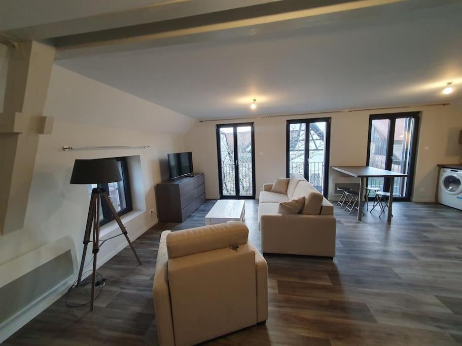 Appartement 2 Pieces Tout Confort, Aux Portes De Colmar Andolsheim 外观 照片