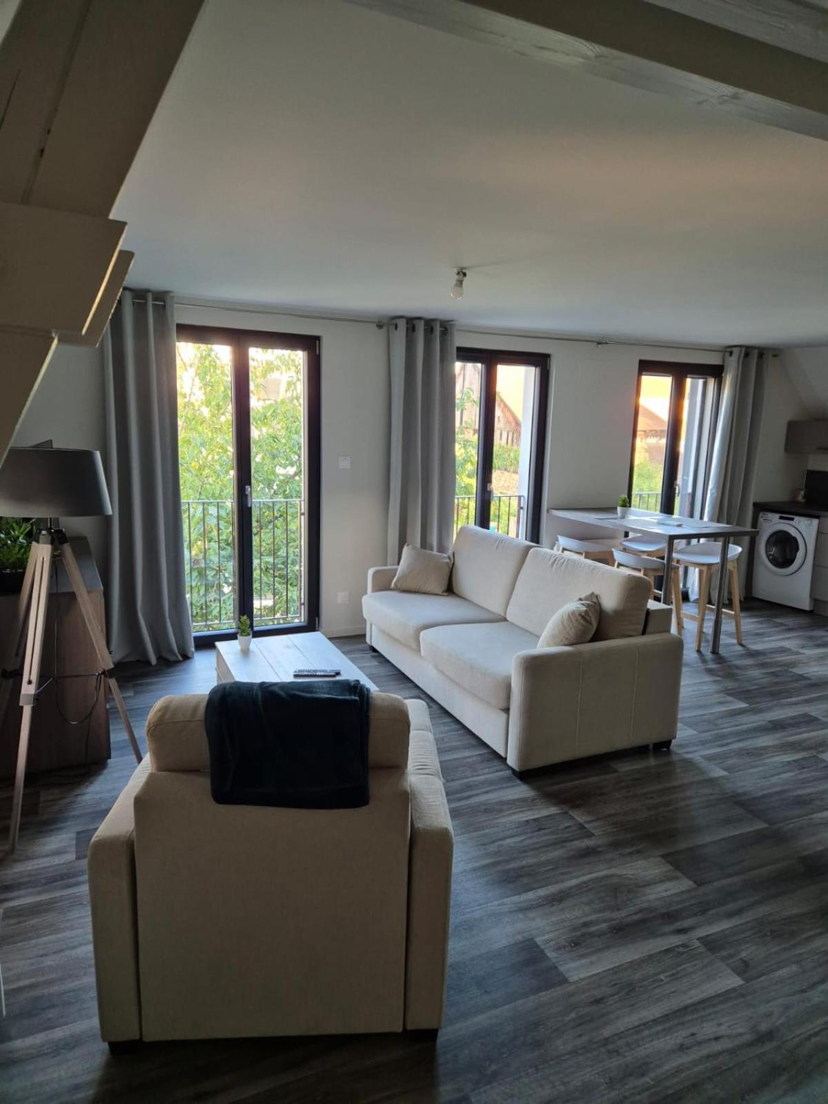 Appartement 2 Pieces Tout Confort, Aux Portes De Colmar Andolsheim 外观 照片